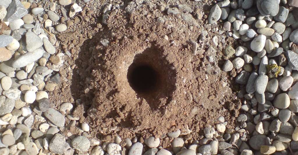 exibid_Sl_Gartenpflege_4
