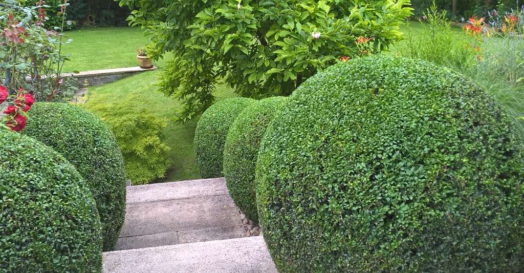 exibid_Sl_Gartenpflege_5